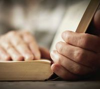 Bücher im Antiquariat